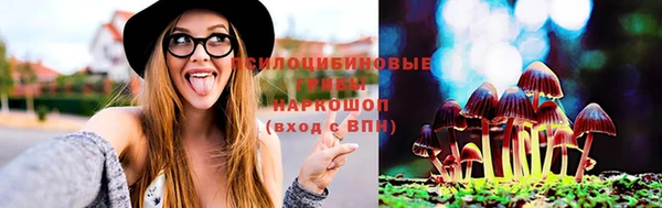 соль ск Абдулино