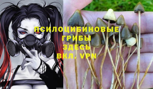 ALPHA-PVP Абаза