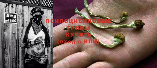 эйфоретик Абинск